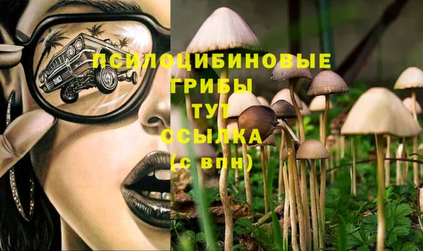 spice Арсеньев