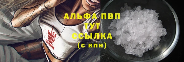 spice Арсеньев