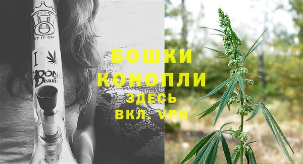 spice Арсеньев