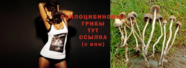 каннабис Аркадак