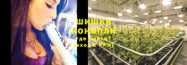 каннабис Аркадак
