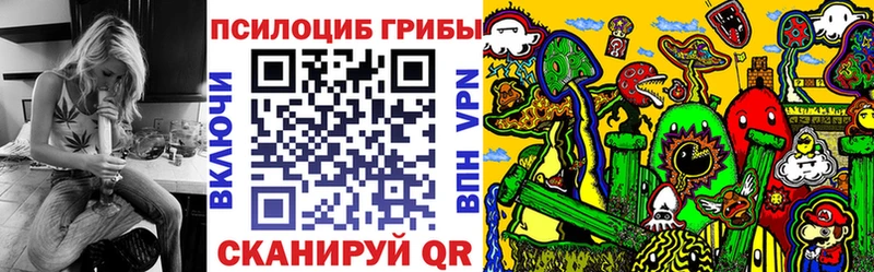 наркотики Белая Холуница Псилоцибиновые грибы Psilocybine cubensis