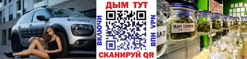 Каннабис план  Белая Холуница 